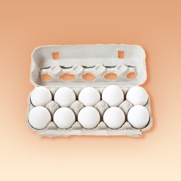 Doosje met 10 witte eieren